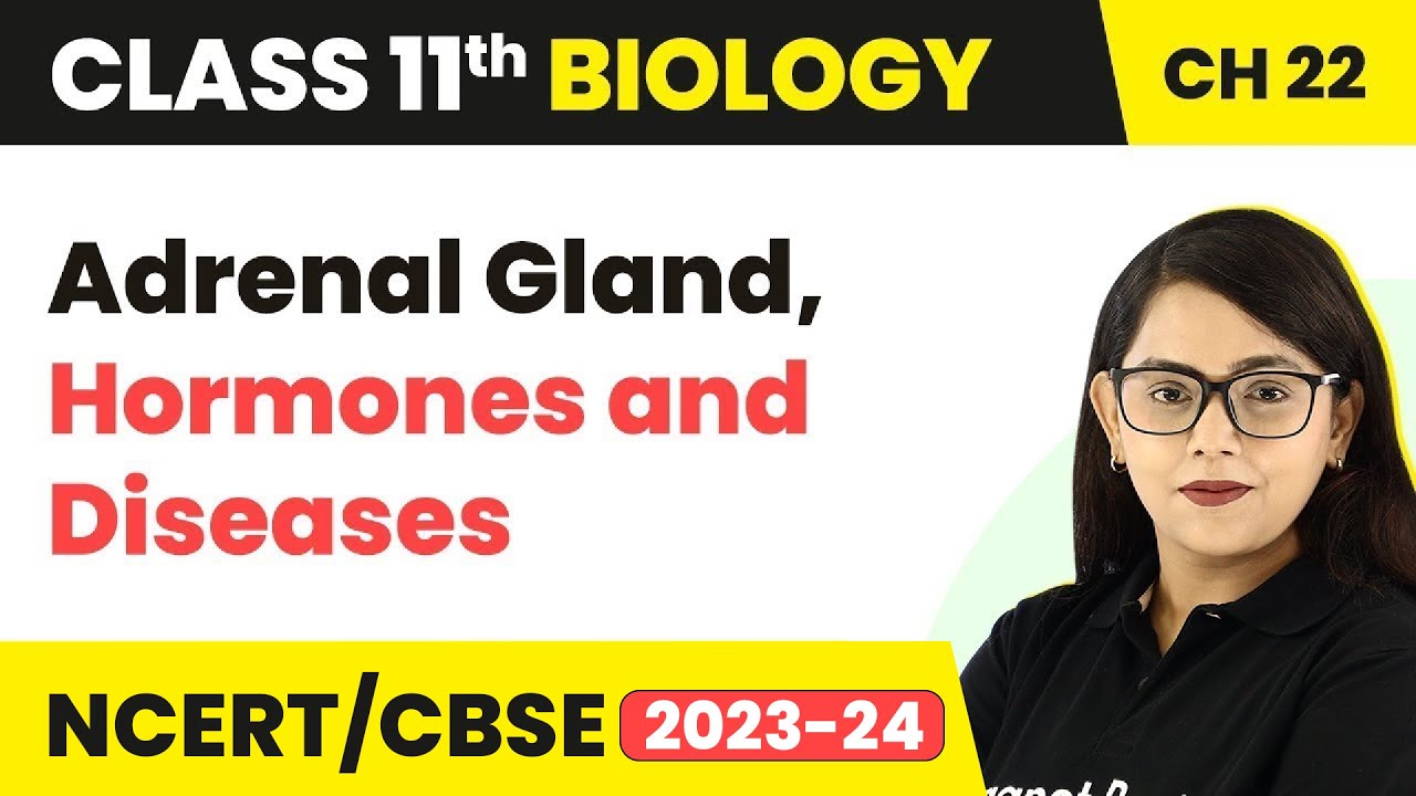 Class 11 Biology Chapter 22 | Adrenal Gland, Hormones & Diseases NEET/CBSE