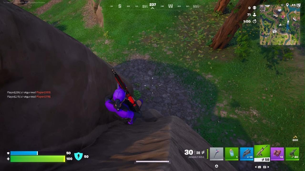 Fortnite_tombucha1 53