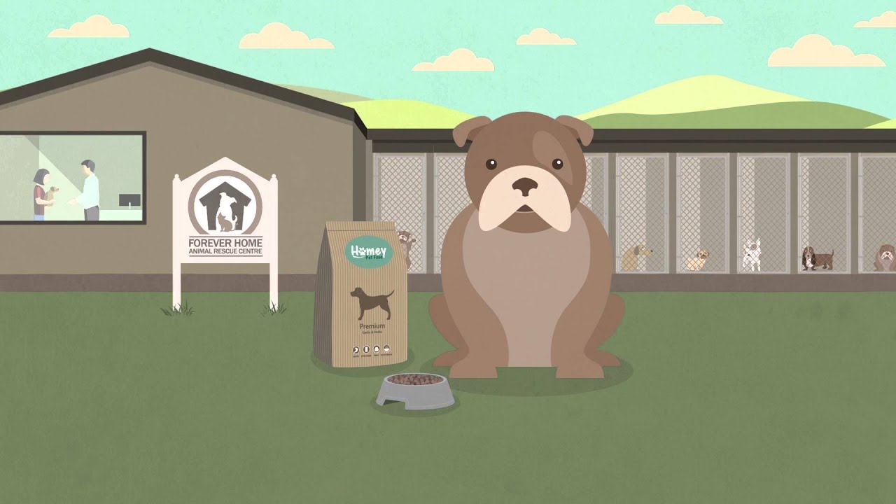 Homey Pet Reminder Video