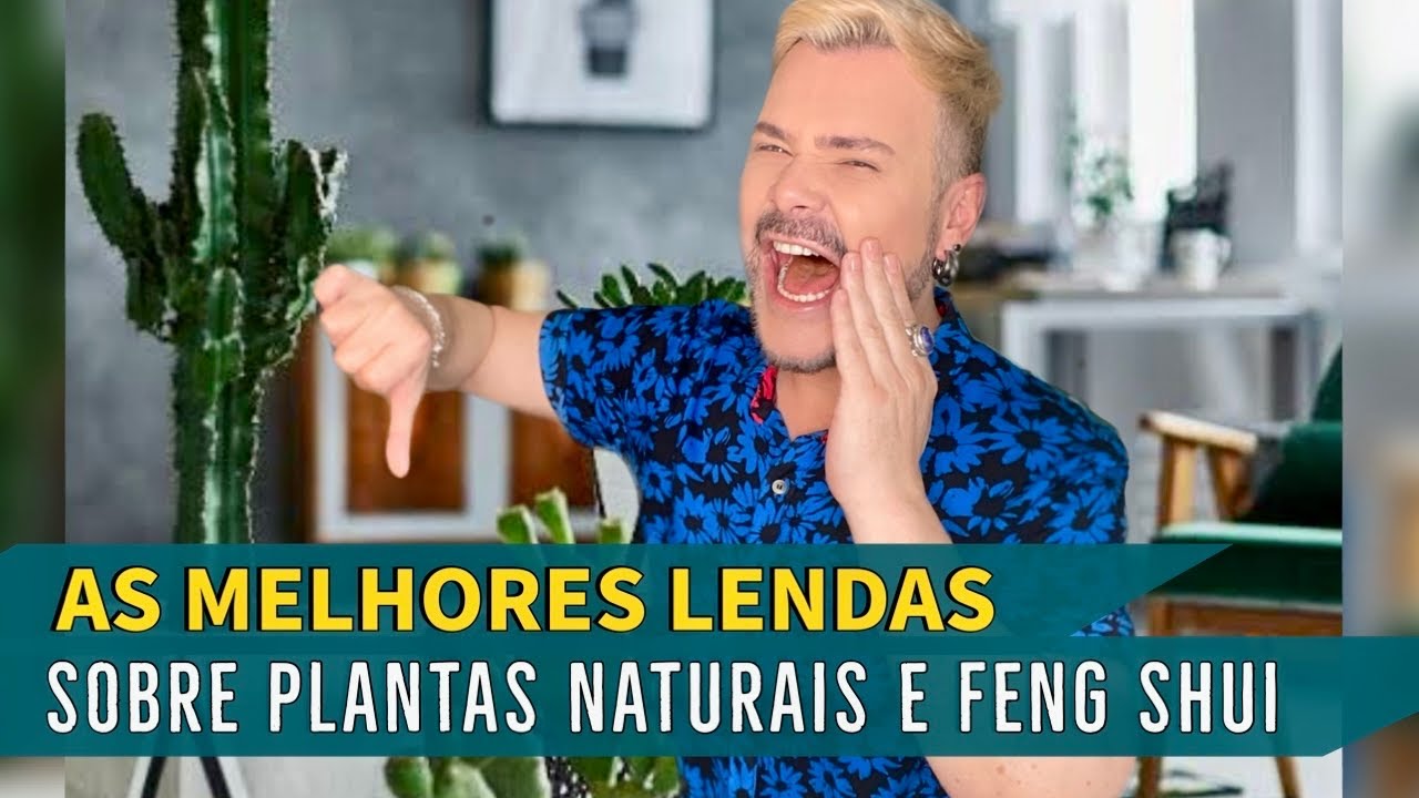 8 PLANTAS 