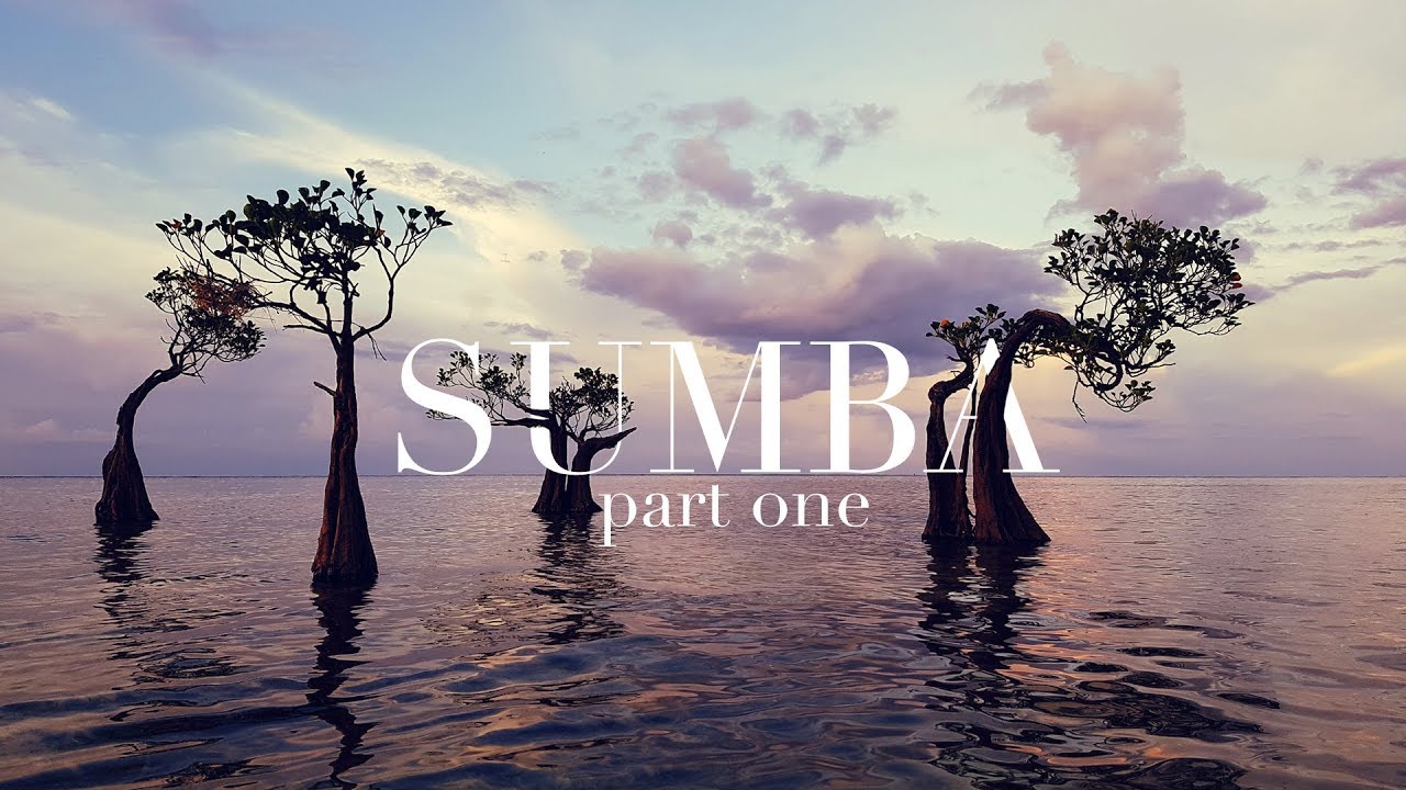 SUMBA VLOG | JALAN-JALAN KE SUMBA #01