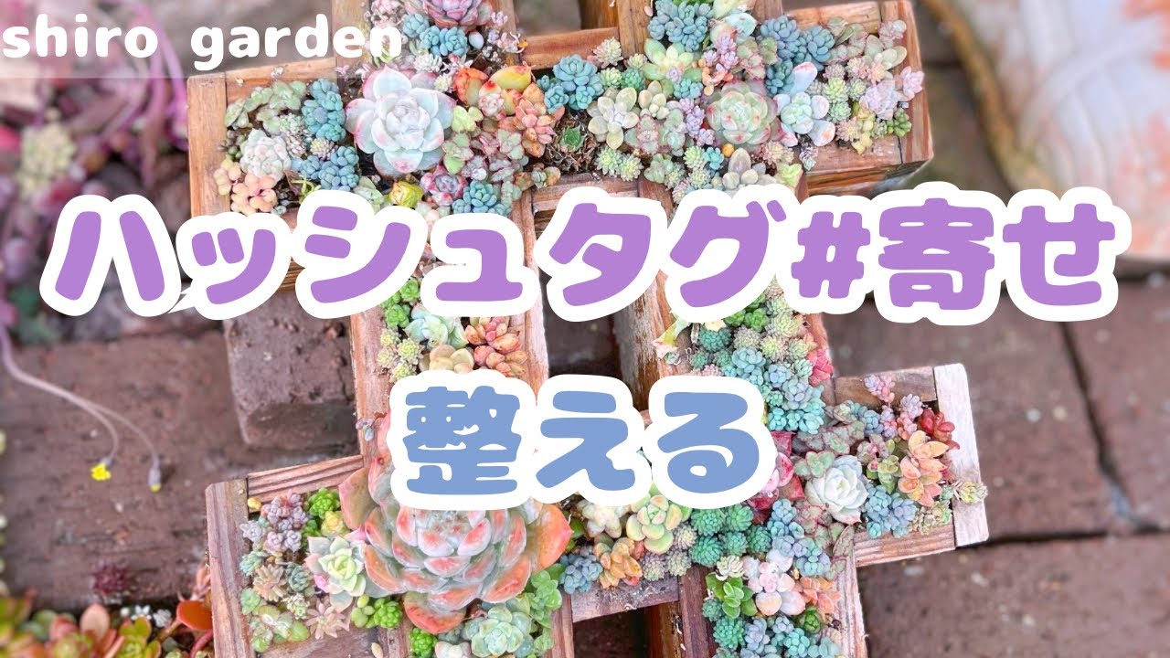 ハッシュタグ#寄せ、整える😊✨