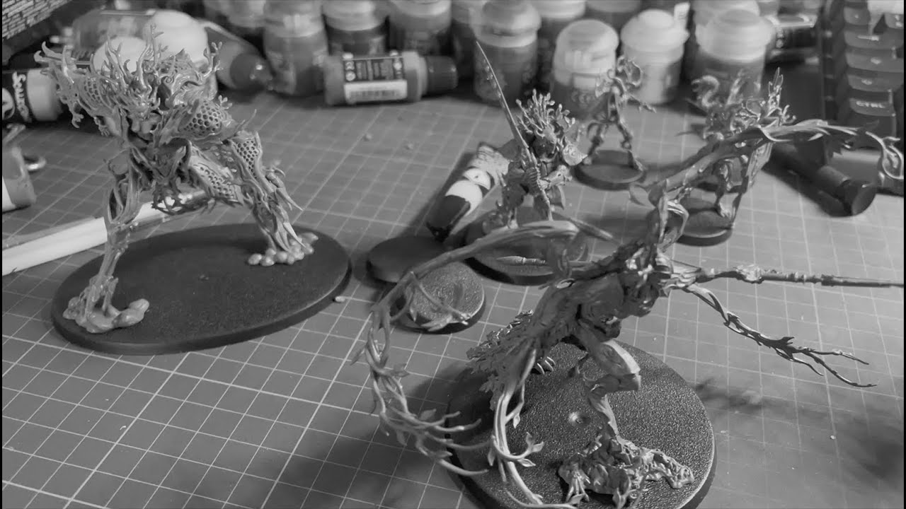 Vlog #1 : La graine du hobby