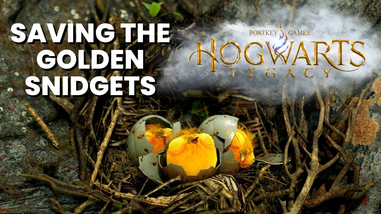 Saving the Golden Snidgets - Hogwarts Legacy