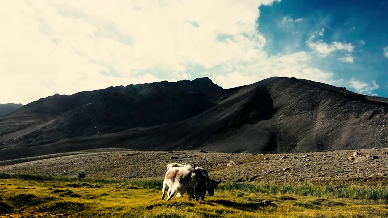 Broghil valley