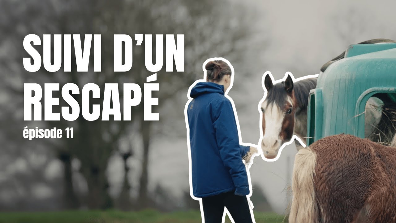 [ÉPISODE 11] Apprendre à ralentir pour mieux avancer : l’hiver avec Ghalib
