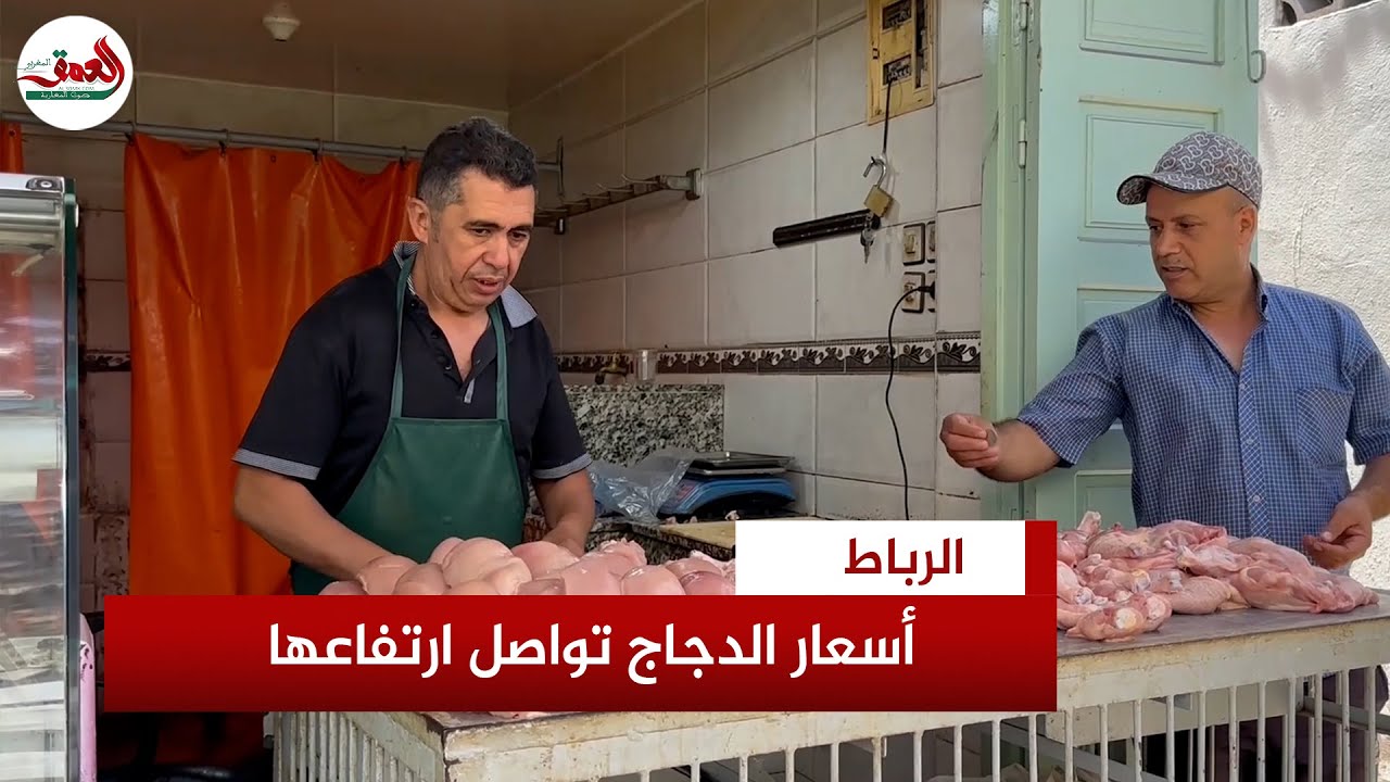 أسعار الدجاج تواصل ارتفاعها مع حلول فصل الصيف وبائعون يحملون المسؤولية 