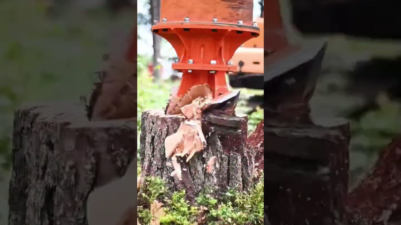 Superfox Hydraulic Tree Root Cutter Machine in Action #shorts