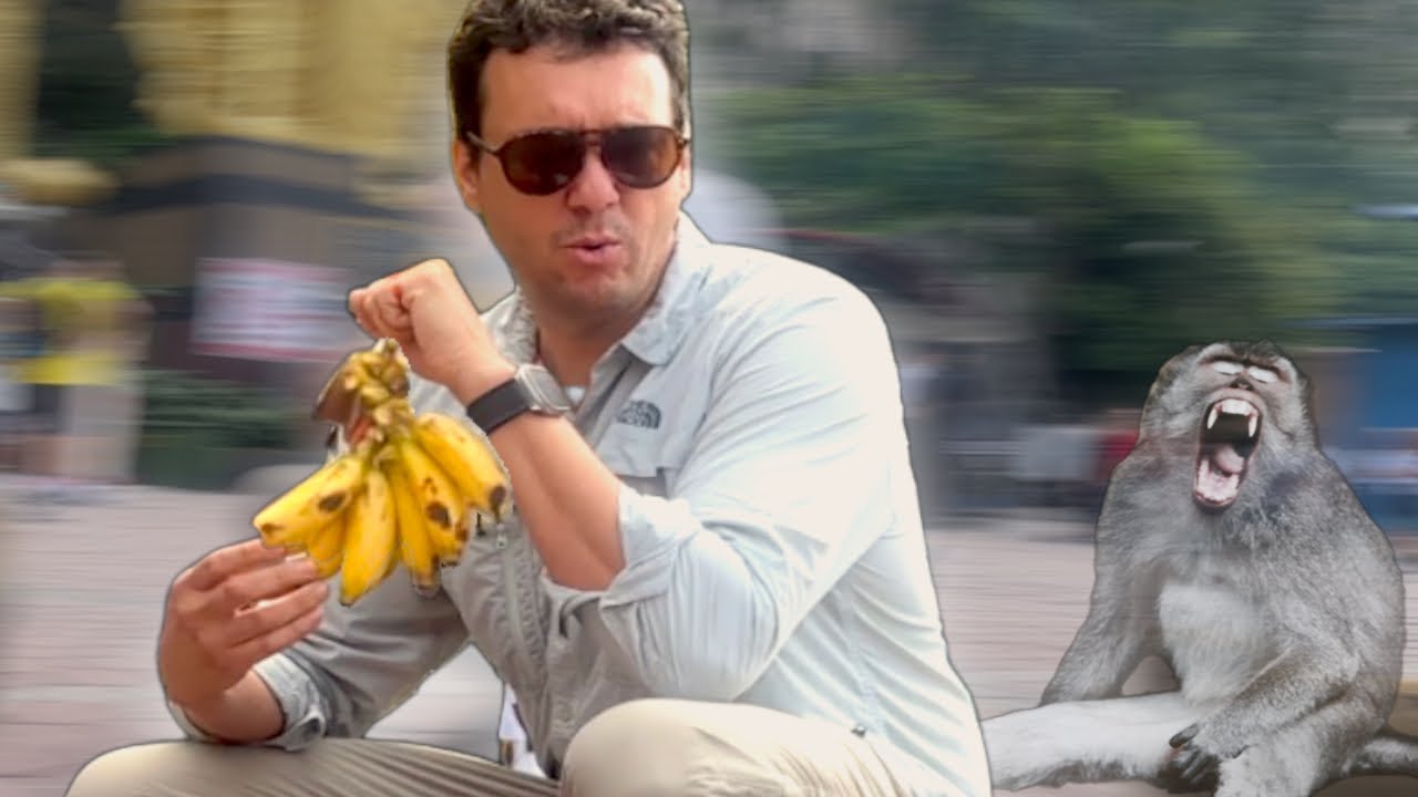 This Is What Happens When You Feed the Monkeys at Batu Caves