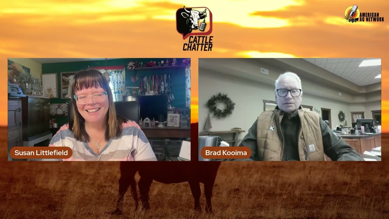 Cattle Trade Turns Choppy as Momentum Wavers | 2/12/26 Cattle Chatter