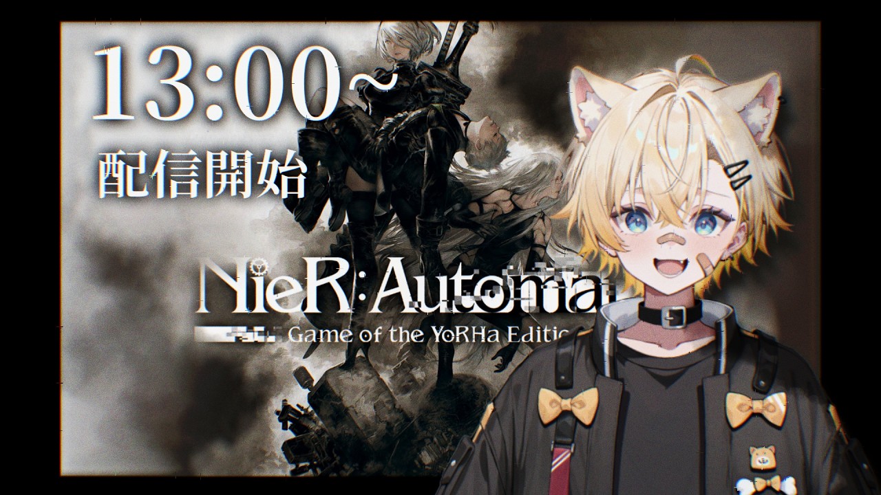 コラボスキン買ってない【NieR:Automata】