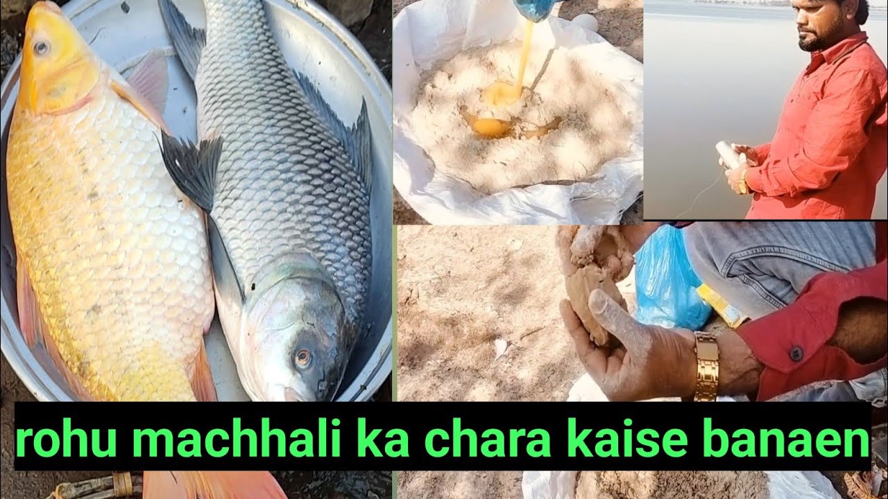 Rohu machhali kaise pakde uska chara dekho#mansoorvolag96