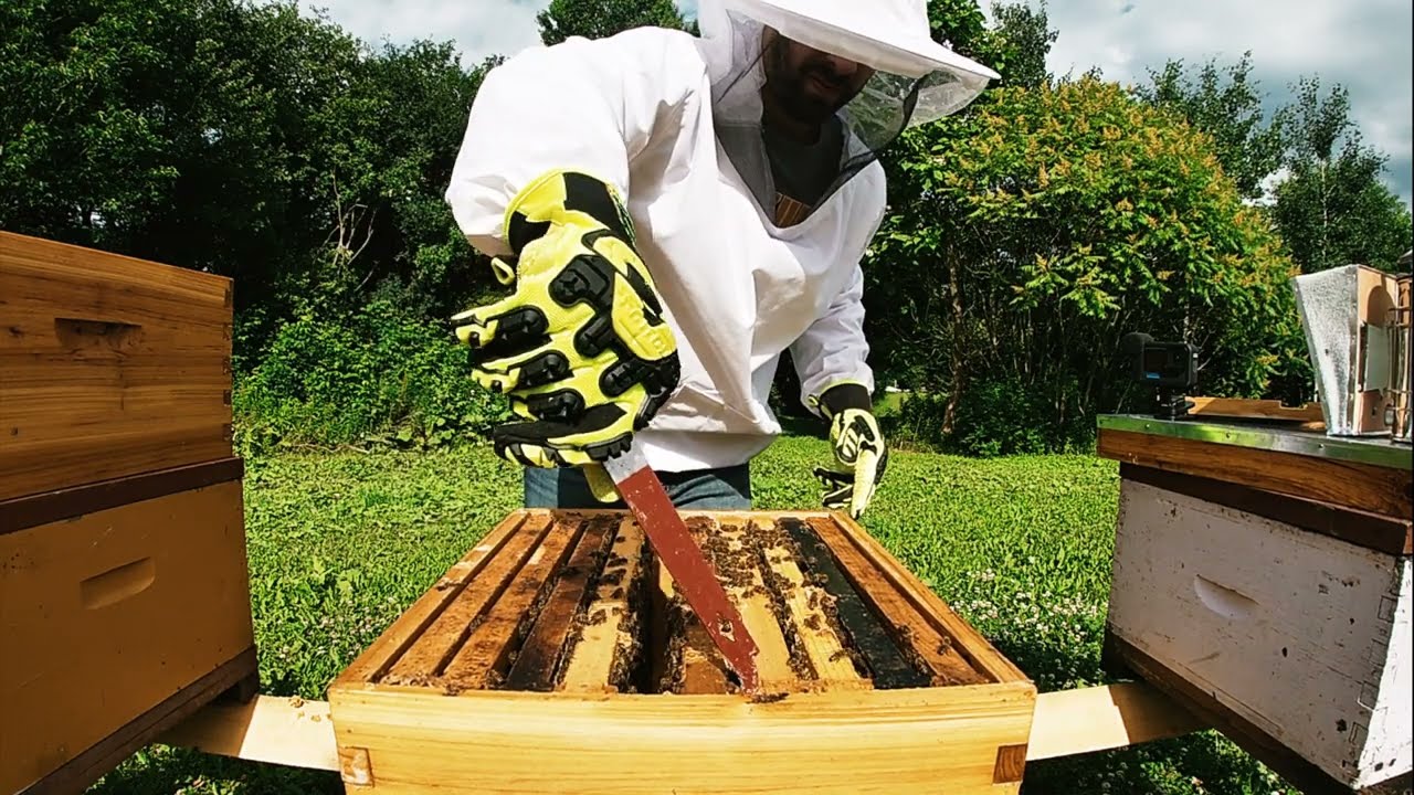 Unbelievable Benefits of Beekeeping! | Inspection 2023 You Won't Believe What Happens Next...