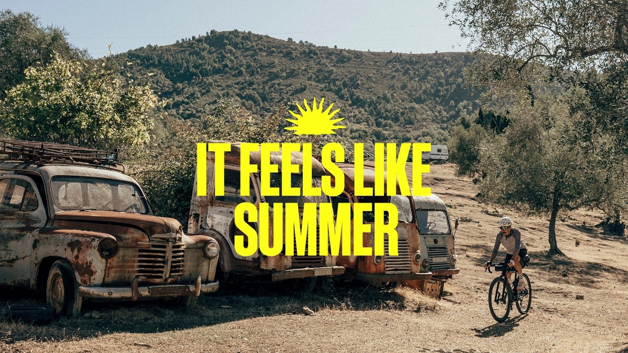 IT FEELS LIKE SUMMER l SS26