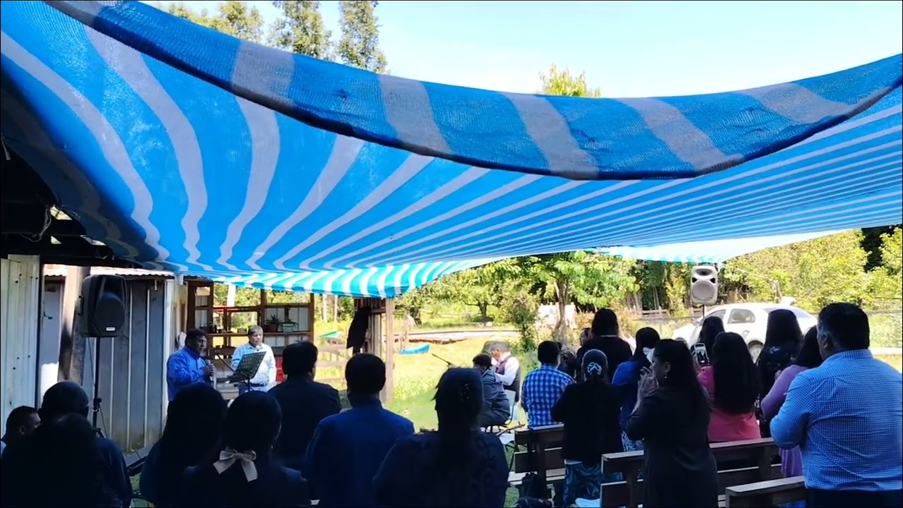 Servicio especial en tierra nueva 🇨🇱 Pitrufquen. 