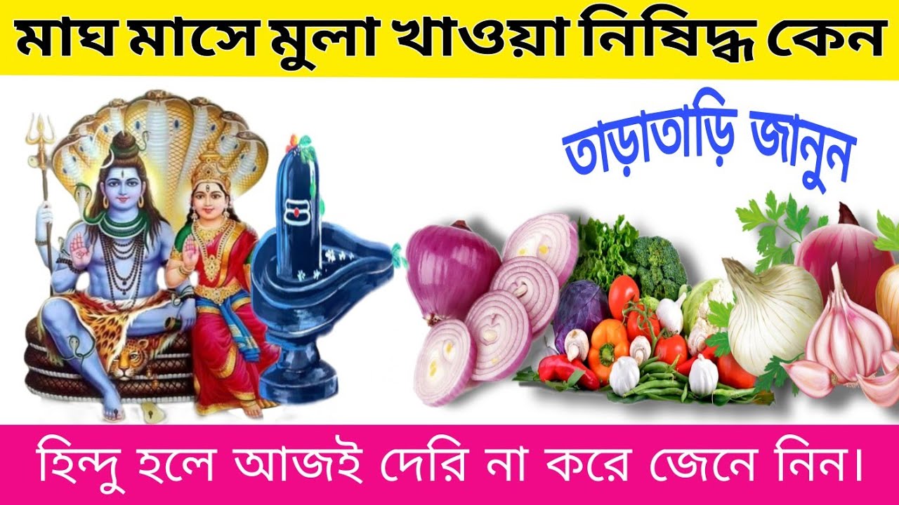 মাঘ মাসে কেন মুলা খাওয়া নিষিদ্ধ? শাস্ত্র ও আয়ুর্বেদের রহস্য