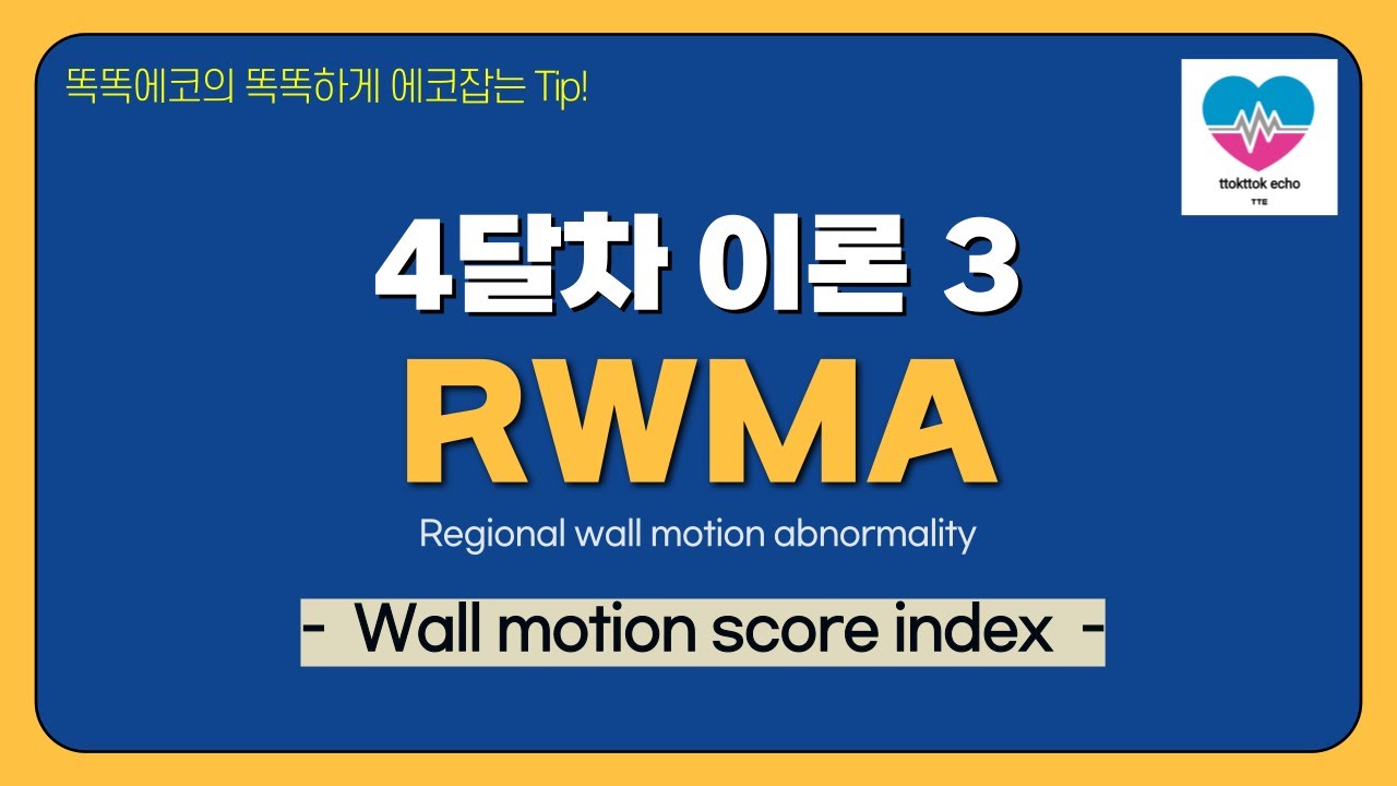 Индекс оценки движения стенки #RWMA #движение стенки #эхокардиография #심장초음파 #сердце #эхокартинка