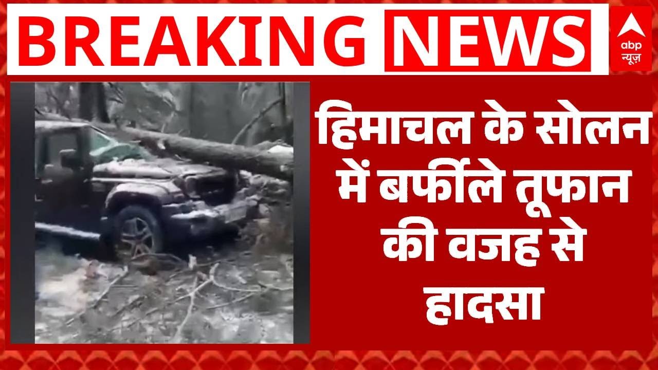 Himachal के Solan में बर्फीले तूफान की वजह से हुआ हादसा, गाड़ी पर गिरा पेड़ |