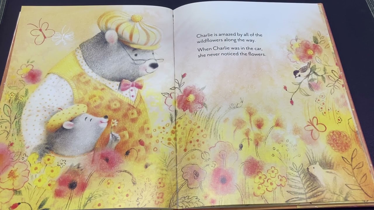 Story Time with Ms. Terri: 'The Sun Never Hurries'