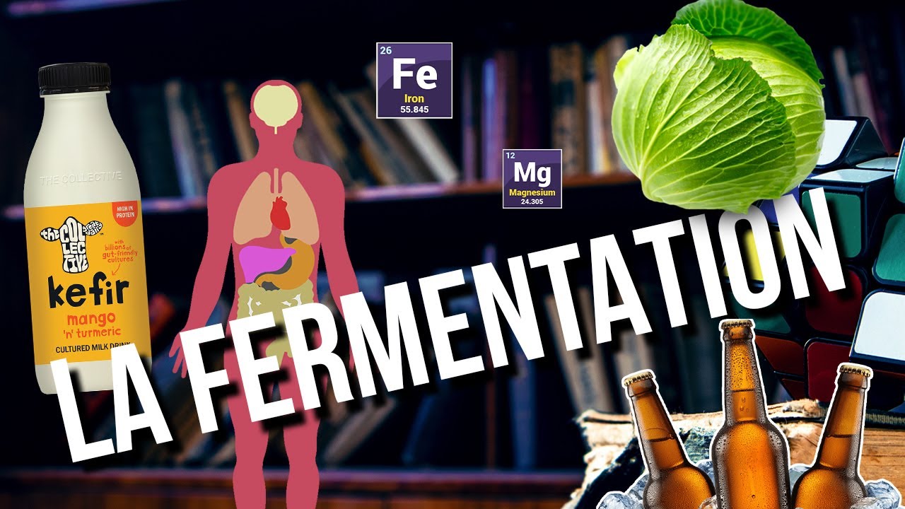 La fermentation
