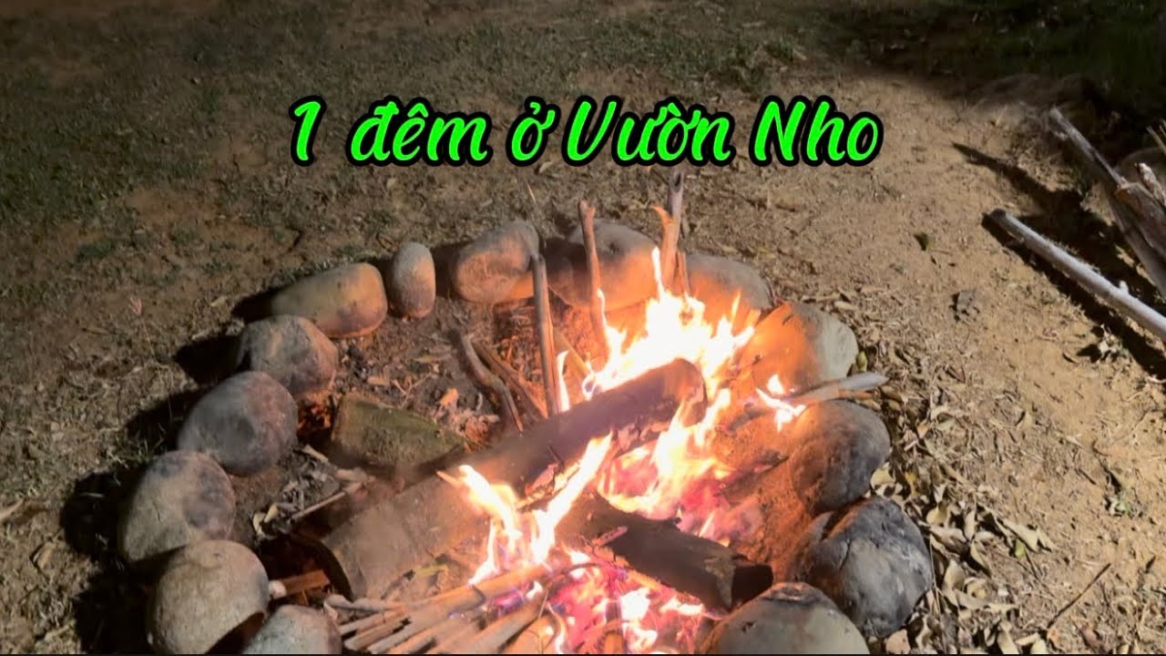 Một đêm ở trang trại Nho