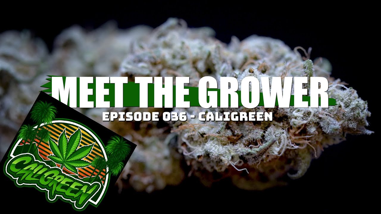 Meet the Grower Ep. 036 - CaliGreen - Sponsored by Mars Hydro