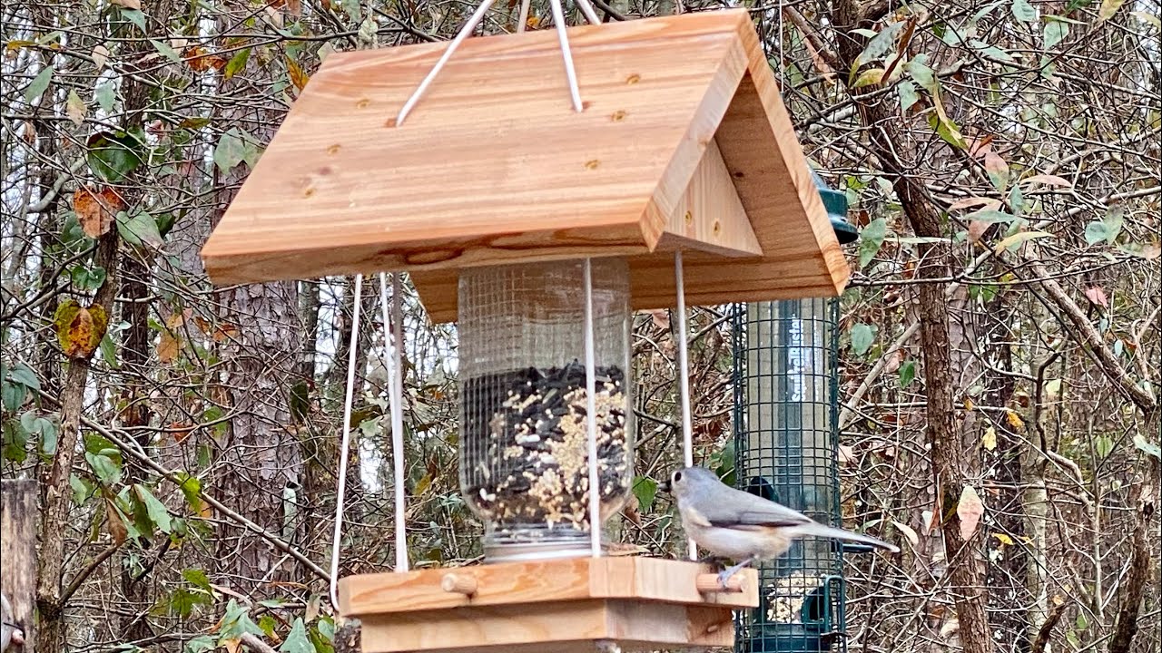 How to make a Boy Scout Bird Feeder: Be Prepared