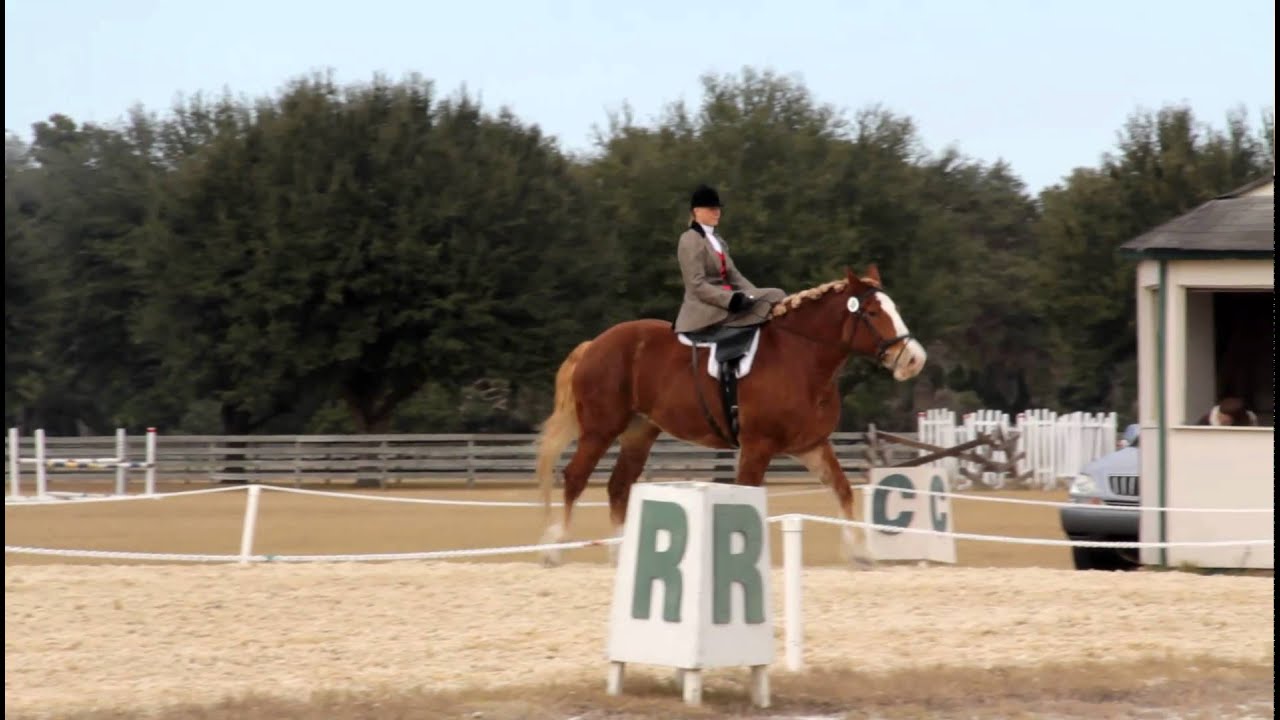 Kiersten dressage side saddle draft horse ride #2