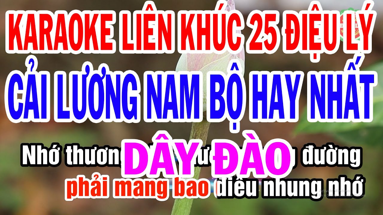 Karaoke Liên Khúc 25 Điệu Lý Cải Lương Nam Bộ Hay Nhất 2023 | Tuyển Tập Các Điệu Lý Yêu Thích Nhất