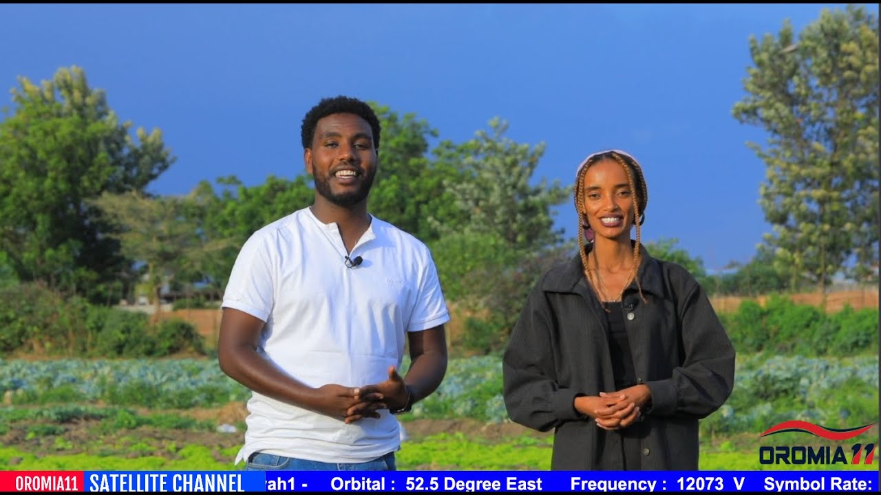 OROMIA11: Imaltuu- Magaalaa Mojo