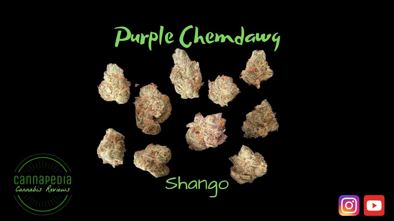 Purple Chemdawg Strain Review - Shango - Cannapedia
