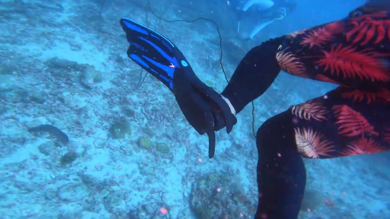 Peaceful Scuba Diving Adventure in Crystal Clear Waters
