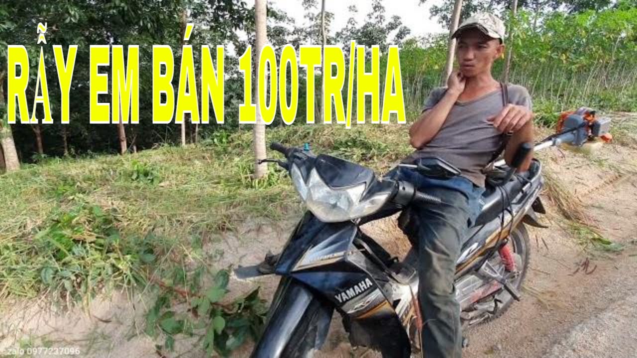 100 triệu 1ha rẫy mỳ cao su non thuộc TP Kon Tum cách Măng Đen 70km