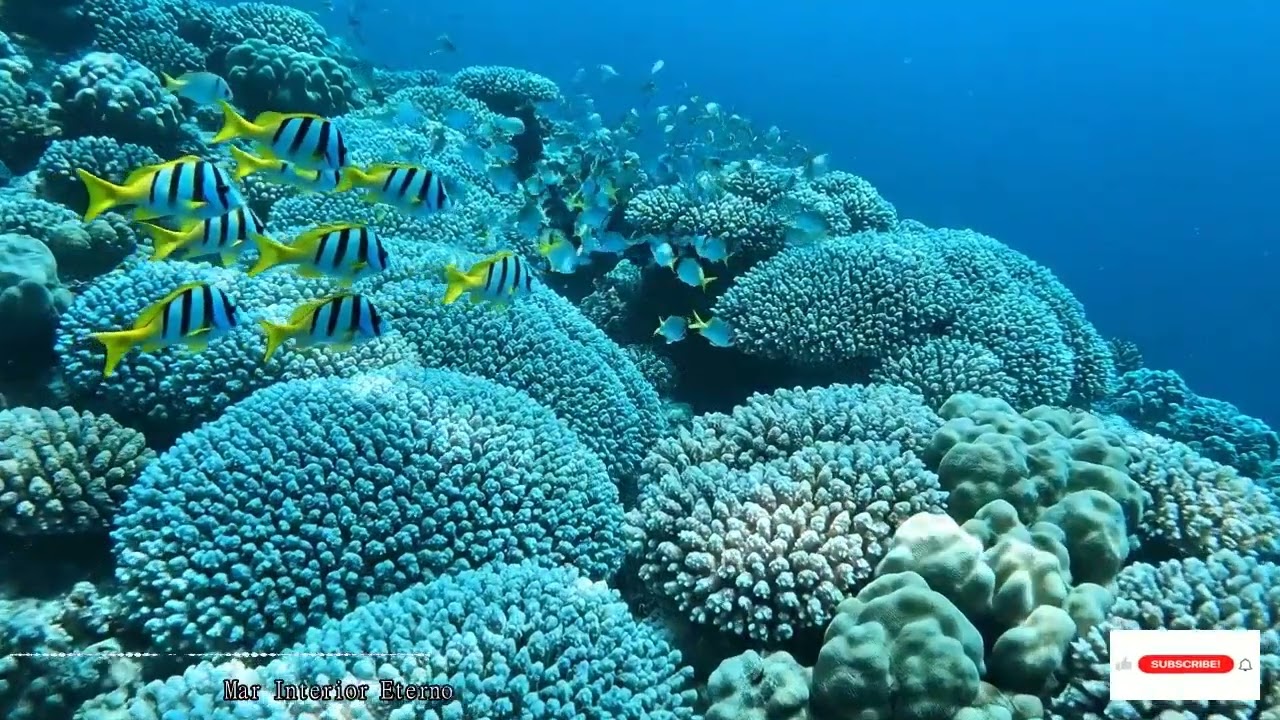 Gentle Ambient Piano With Soft Ocean Waves For Relaxation Meditation And Sleep