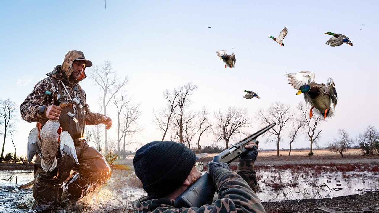 HUNTING TIMBER HOLE MALLARDS BY THE HUNDREDS!!