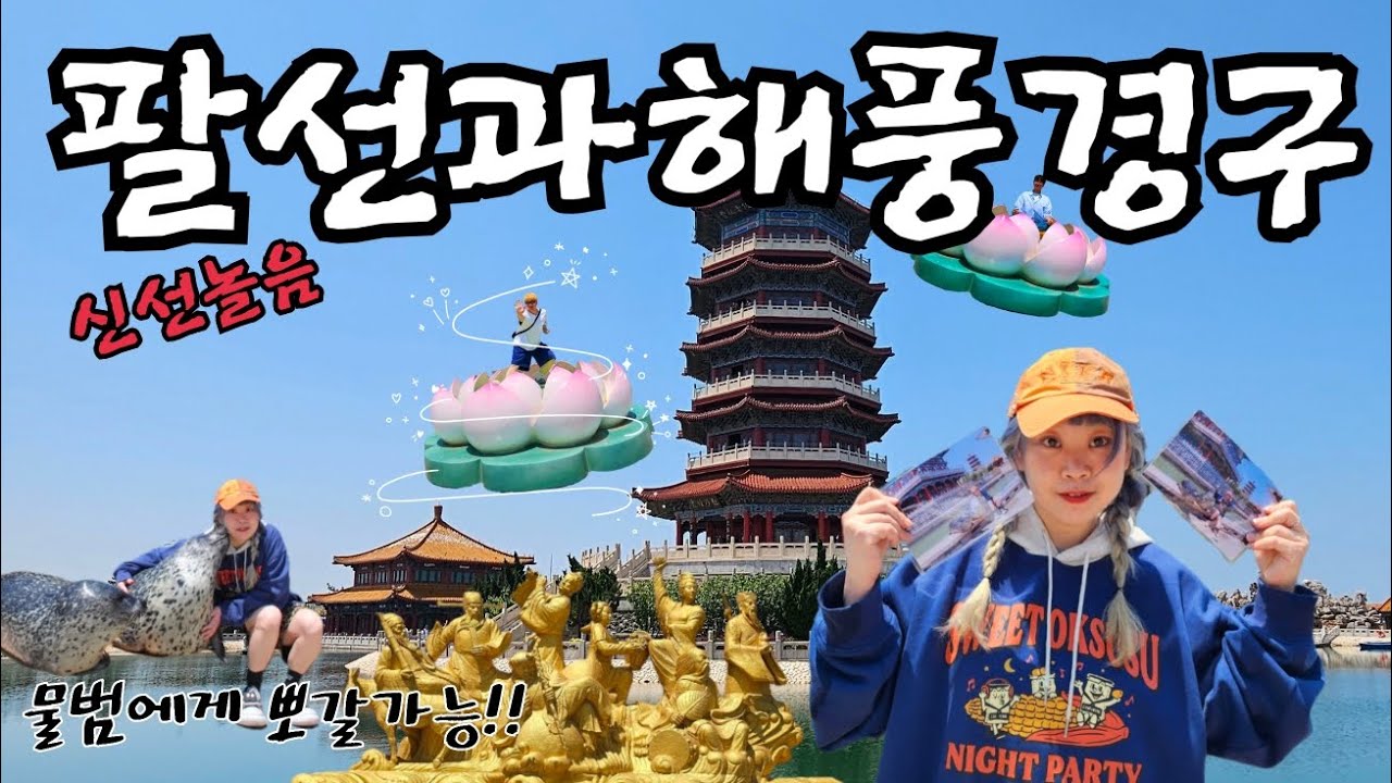 중국 옌타이 여행 물개랑 노는 브이로그 팔선 펑라이 가는 법 포토존 꿀팁 가볼만한 곳 #팔선과해풍경구 #펑라이거
