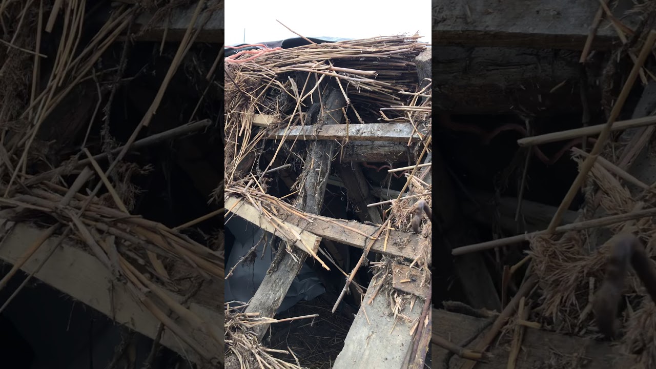 Roof Thatching - Structural Challenges
