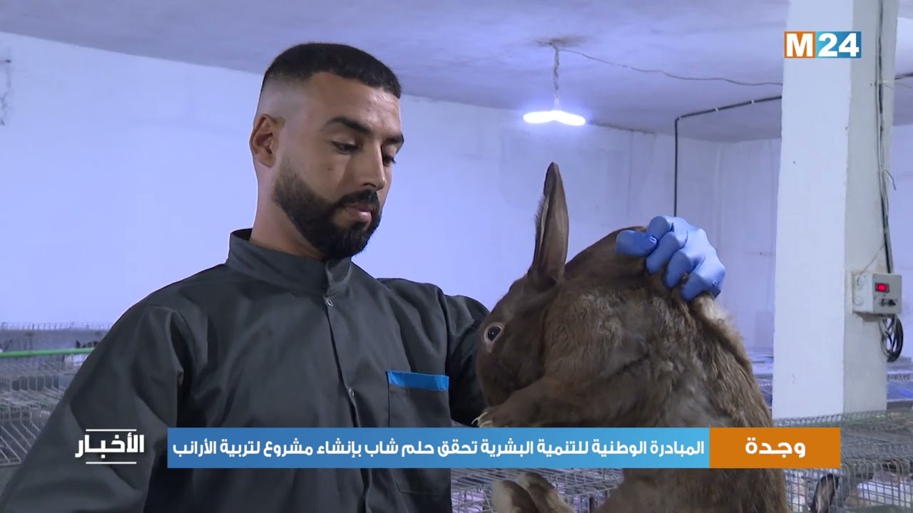 بفضل المبادرة الشاب ابراهيم بكاري يحقق حلمه بإنشاء مشروع لتربية الأرانب بوجدة