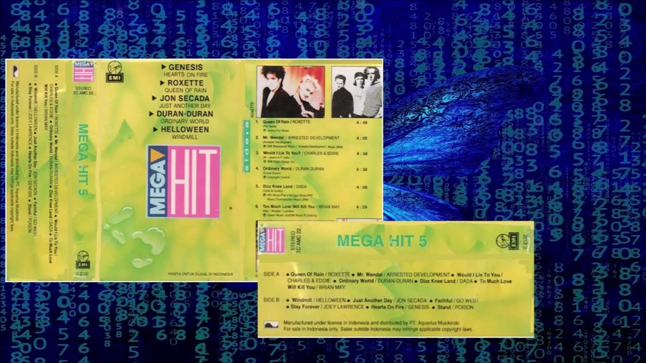 MEGAHIT 5