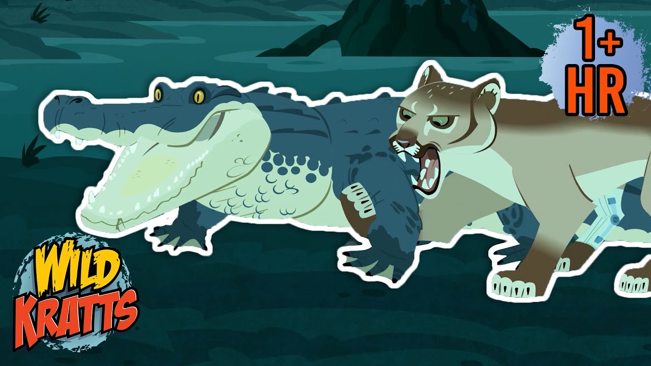 A Florida Panther Battles an Alligator | New Compilation | Wild Kratts