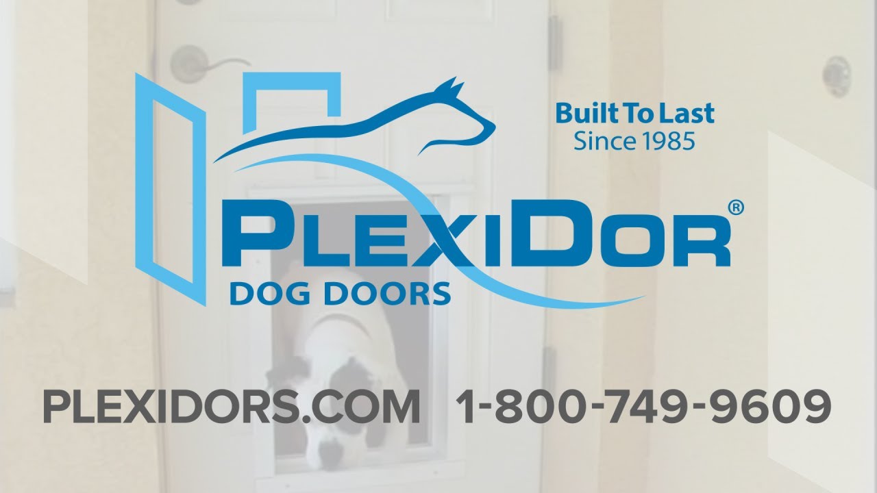 Electronic Dog Doors - PlexiDor Dog Doors - Electronic Dog Doors