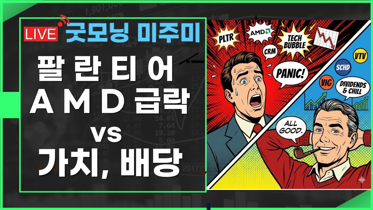 [굿모닝 미주미]   팔란티어  AMD 주가 급락 vs 퀄러티, 밸류,  가치주    #미주미 #이항영