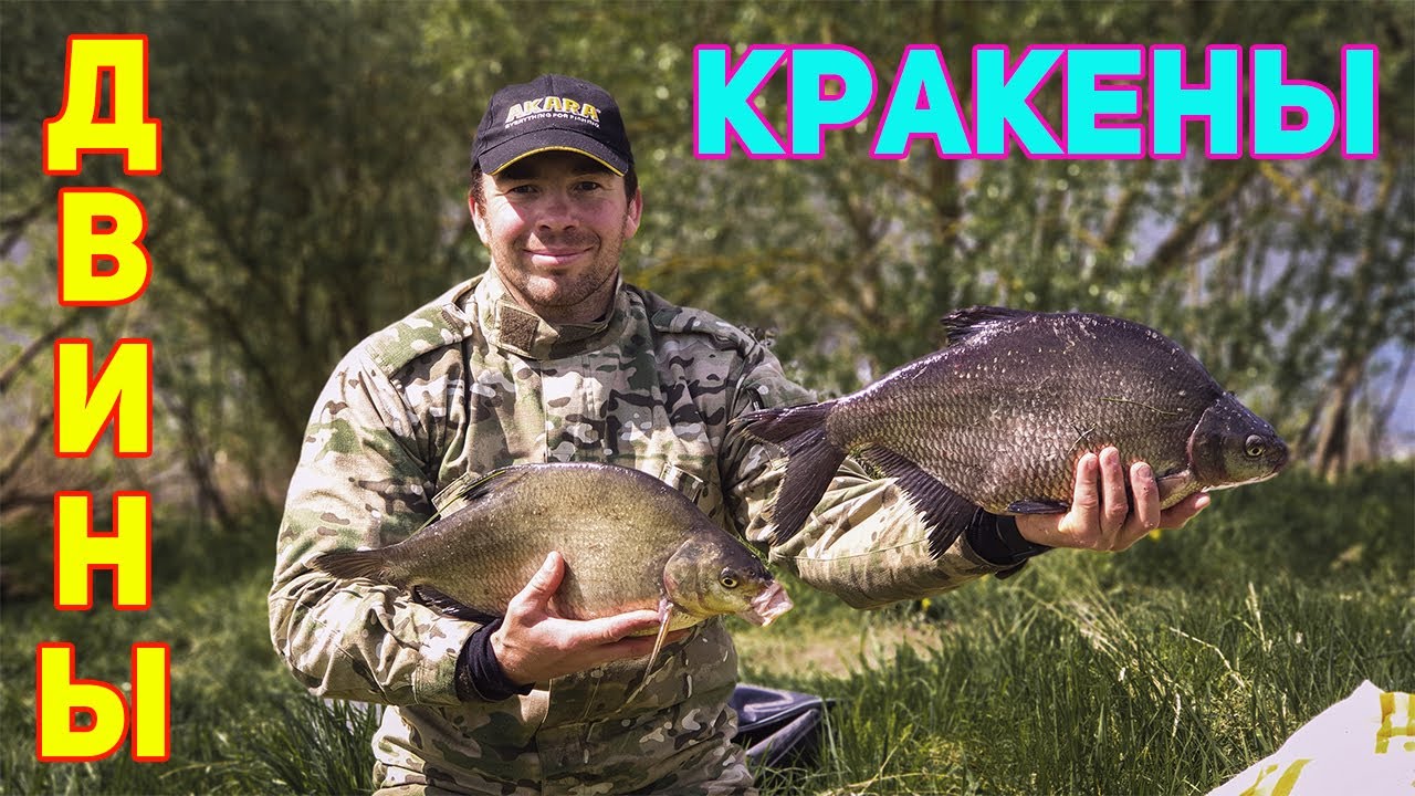 ЗДОРОВЕННЫЕ ЛЕЩИ ЗАПАДНОЙ ДВИНЫ! ЛОВЛЯ ЛЕЩЕЙ-КРАКЕНОВ НА ФИДЕР ВЕСНОЙ!