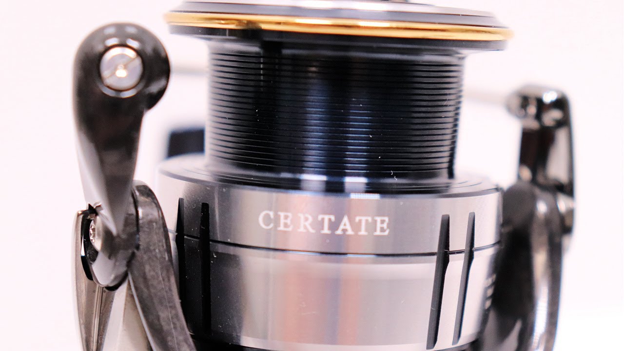 Daiwa Certate LT Reel Review (Is This Worth The Cost?)