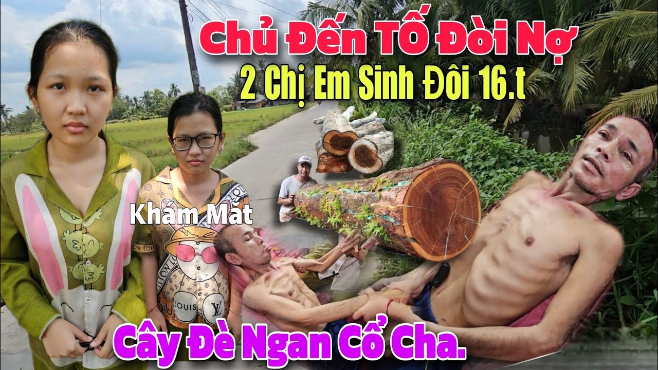 Cha bị Cây Đè Ngan Cổ Nằm Liệt Giường 2 Con Gái Sinh Đôi 16t Chăm Sóc Tắm Rửa.