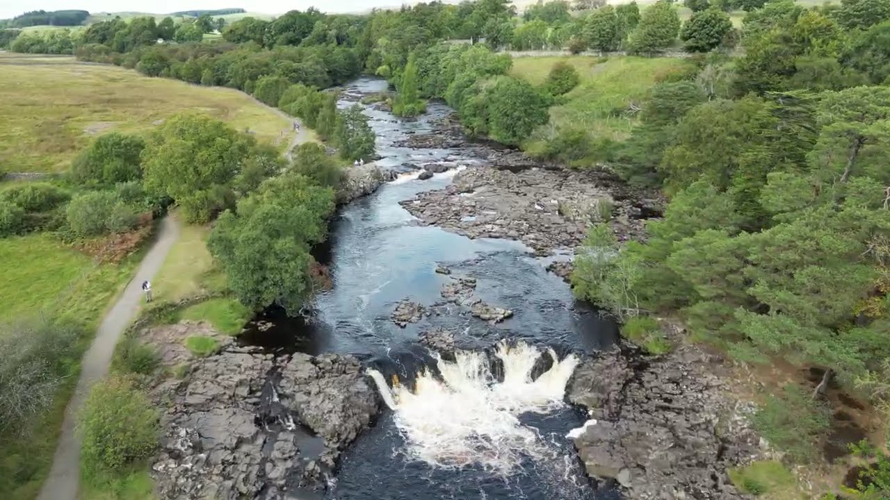 Low Force