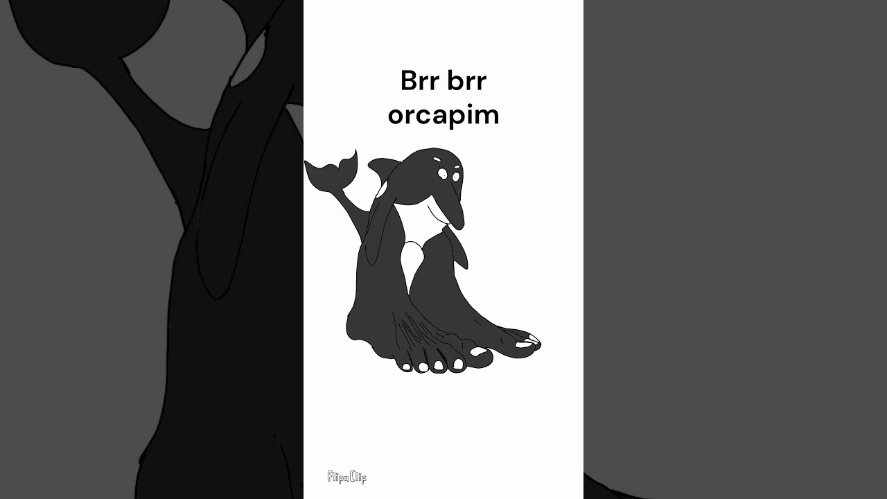 Brainrot orca #italianbrainrot  #animation
