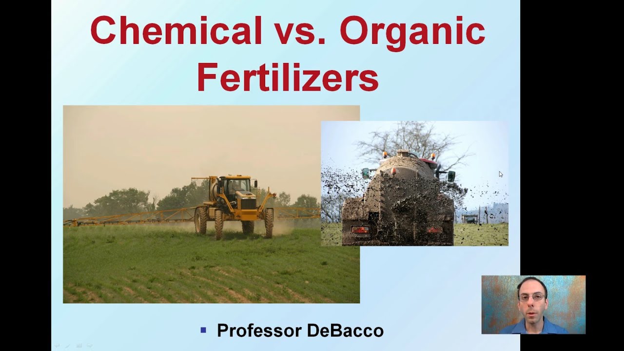 Chemical vs Organic Fertilizers