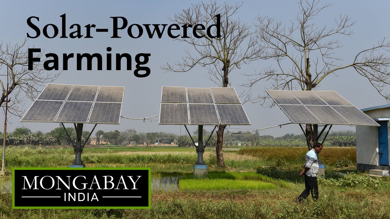The slow embrace of solar irrigation in West Bengal