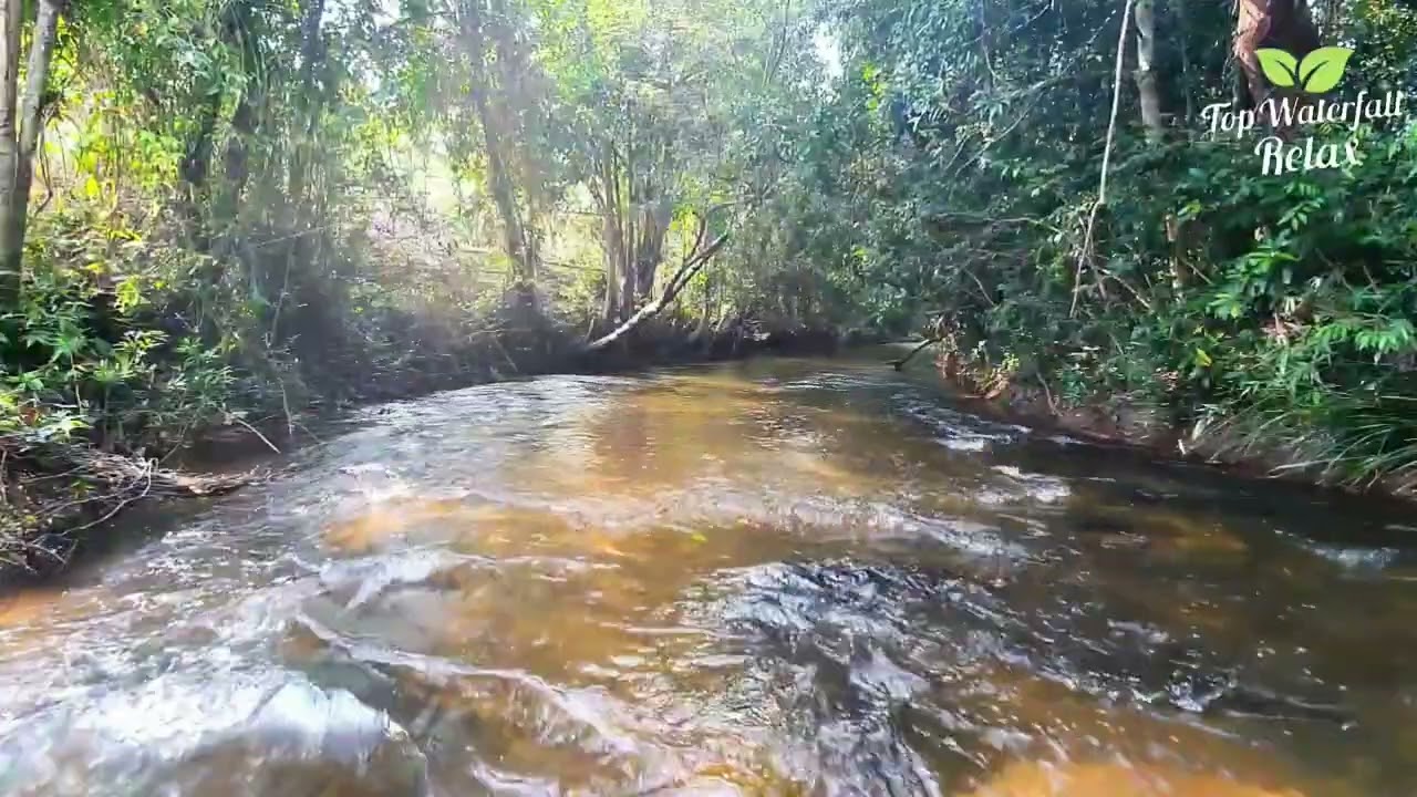 Episode 71: Sleep Soothing with Poweful of Water Rever sounds | Relaxing White Niose 3 hours.